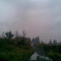 , Janusz K