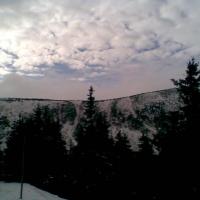 , Janusz K