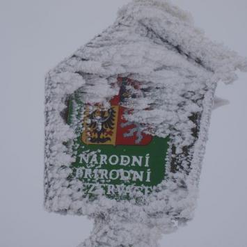 2.1.2010r. Na szczycie Masywu Śnieżnika - Śnieżnik , Tadeusz Walkowicz