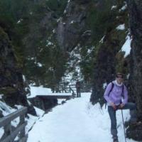 , Janek
