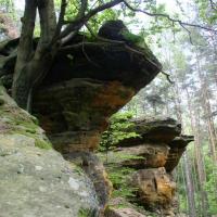 , Jarosław S.