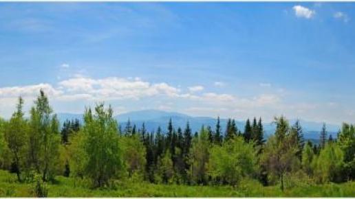Leskowiec widok na Babią Górę , Amorkowa