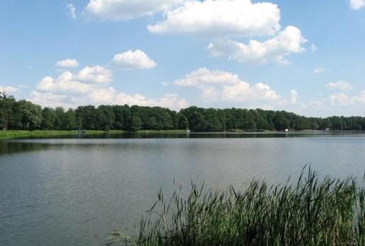 Jezioro Paprocańskie, Danuta