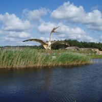 Łeba Park, Danusia