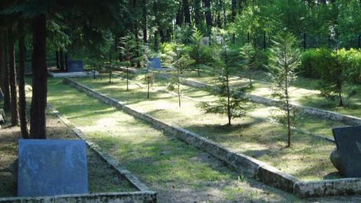 Borne Sulinowo, Danusia