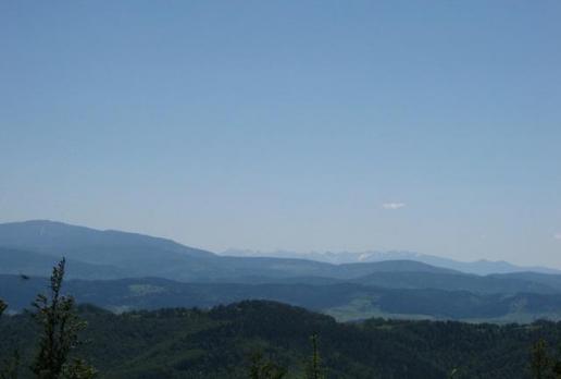 Tatry widziane ze szlaku z Przeł.Kocierskiej na Żar, Danuta