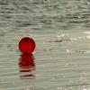 samotny balonik na Zatoce, Lidka Kwiatkowska