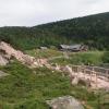 Karkonosze, Wiktor