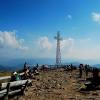 TARNICA, Beata