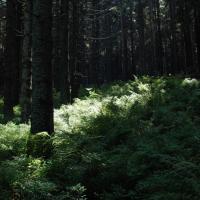 Beskid Żywiecki, Łukasz