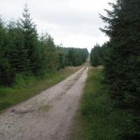 , Wiktor