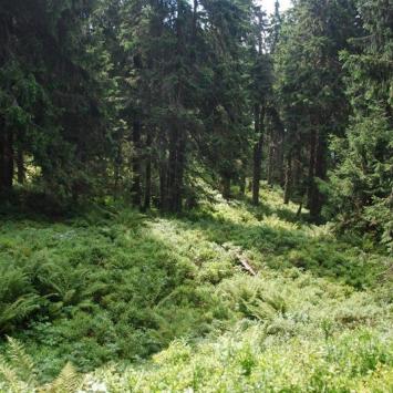 Beskid Żywiecki, Łukasz