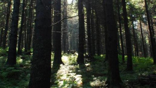 Beskid Żywiecki, Łukasz