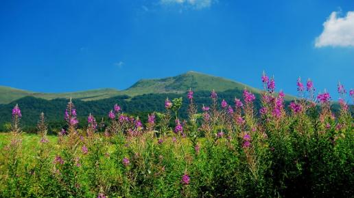 BIESZCZADY, Beata
