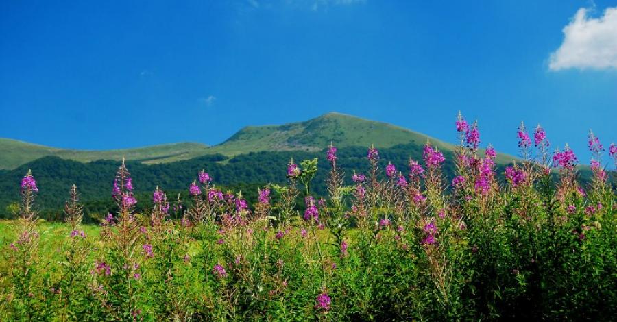 BIESZCZADY - zdjęcie