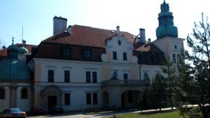 Pałac w Kamieńcu - zdjęcie
