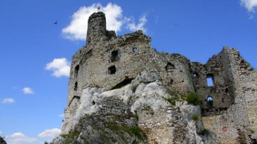 Ruiny zamku w Mirowie, Agnieszka