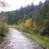 , michal