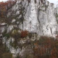 Sokolica, Adam Prończuk