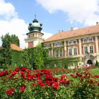 Łańcut, Jarosław S.
