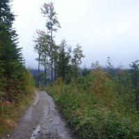 , michal