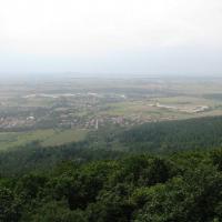 , Darek