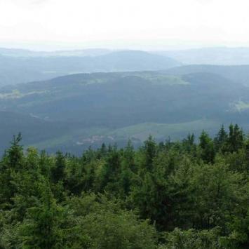 , Krzysztof