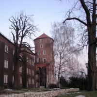 Widok na Basztę Sandomierską, Darek