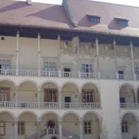 Renesansowy Dziedziniec Arkadowy, Darek