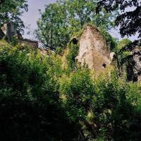 17.08.2009 - ruiny zamku Gryf w Proszówce, Anna Siemomysła