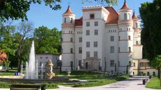 pałac wojanów, Krzysztof Dorota