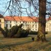 Park zamkowy w Suchej-Beskidzkiej, Adam Prończuk