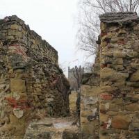 Ruiny zamku, Adam Prończuk