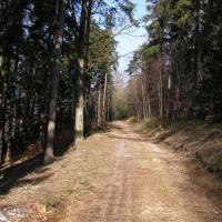 , Krzysztof
