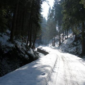 , Krzysztof
