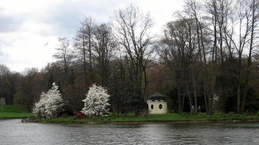Pszczyna-Położona w parku na wysepce Herbaciarnia, Danuta