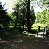 Arboretum w Lipnie, Arkadiusz Musielak