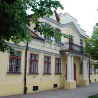 Suwałki, malar