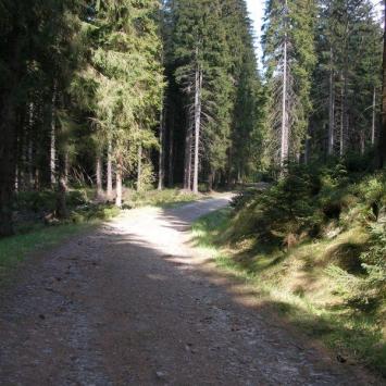 , Krzysztof