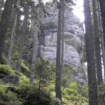 , Krzysztof