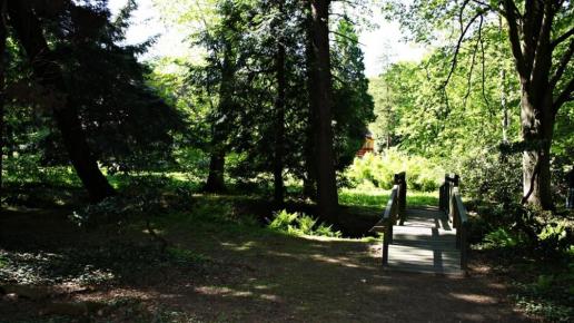Arboretum w Lipnie, Arkadiusz Musielak