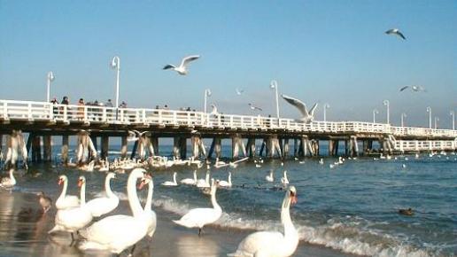 Sopot - molo, Natalia