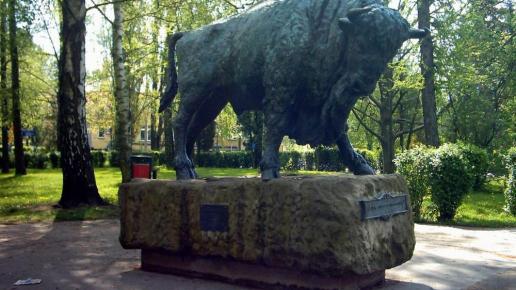 Pomnik Żubra odlanego z brązu w Hajnówce, katarzyna parfieniuk