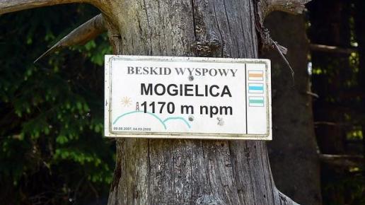, Tomasz Sładkowski