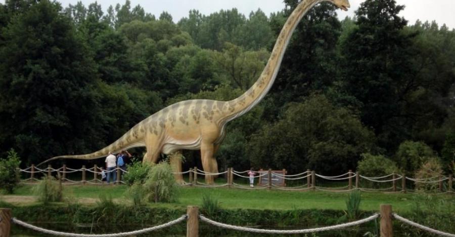Rogowo - Spotkanie z Dinozaurami - zdjęcie