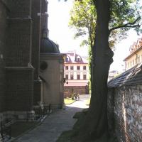 , Zbyszek Mat