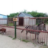 , mokunka
