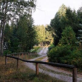 Krzywogoniec - ścieżka przez las, JureK