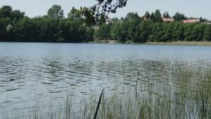 Jezioro Sitno - zdjęcie