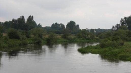 , Anna Siemomysła